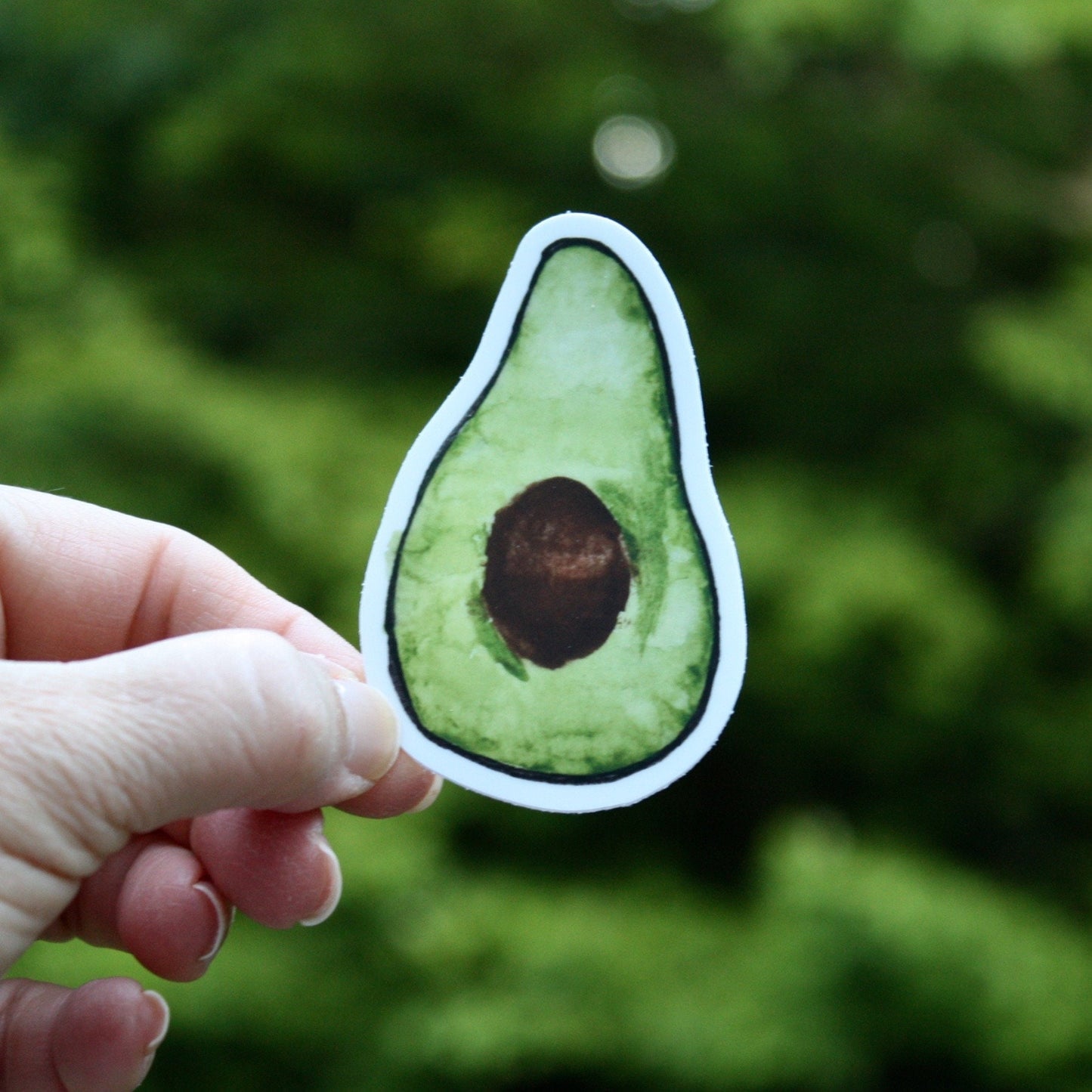 Avocado Sticker | It's An Avocado, Thanks | Fresh Avocado, fruit sticker, avocado sticker, watercolor painting, for laptop, car, bottle