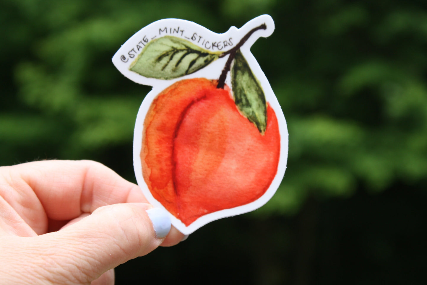 Georgia Peach Sticker | state of georgia symbol, peach growers, agriculture, fruit sticker, watercolor painting, viny sticker, decal