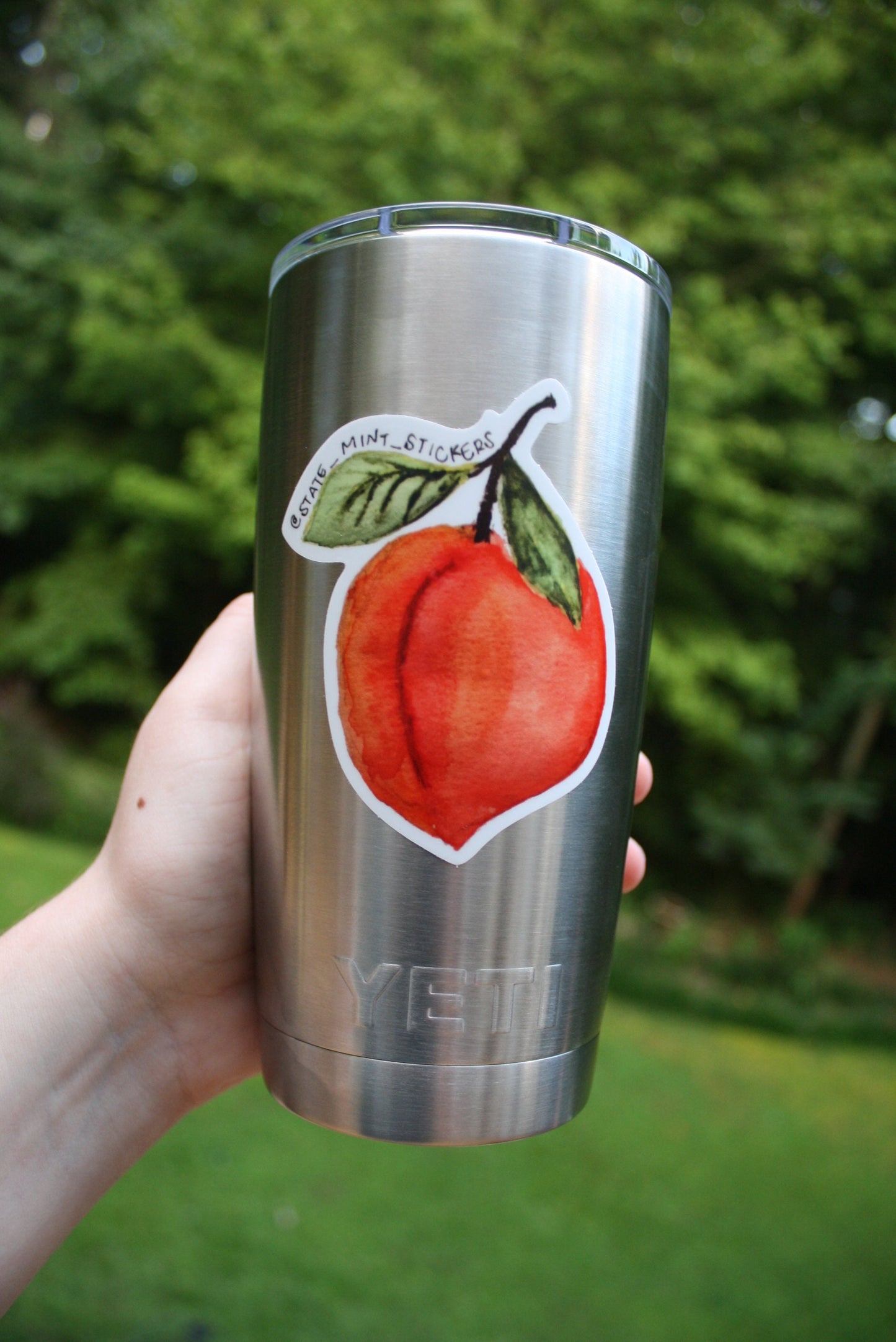 Georgia Peach Sticker | state of georgia symbol, peach growers, agriculture, fruit sticker, watercolor painting, viny sticker, decal