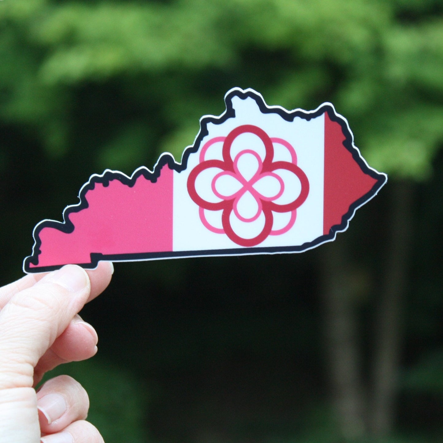 Alpha Omicron Pi Sorority Kentucky Shaped Sticker  / Decal |  for Car, Laptop, Mug, Cup, Cooler, Planner