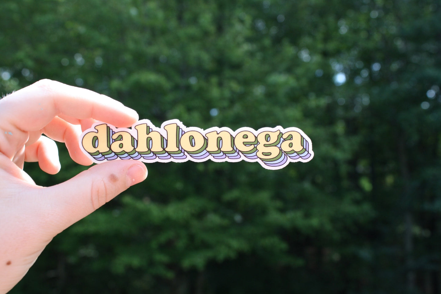 Dahlonega Georgia Sticker, city sticker, decal, dishwasher safe, waterproof, dahlonega decal, patagonia inspired, georgia, ung, ngcsu