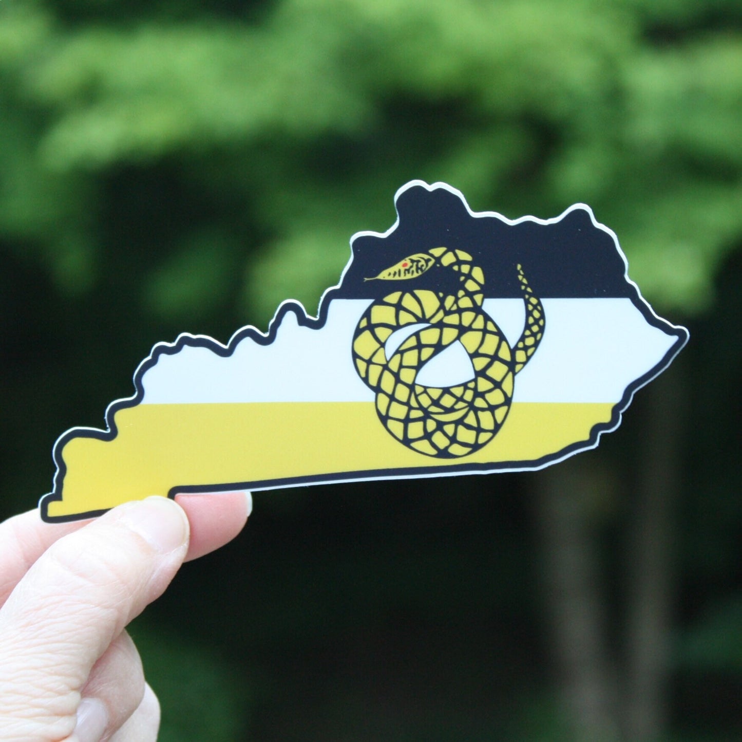 Sigma Nu Fraternity Kentucky State Shaped Sticker / Decal | University of Kentucky, Wesleyan, Western Kentucky