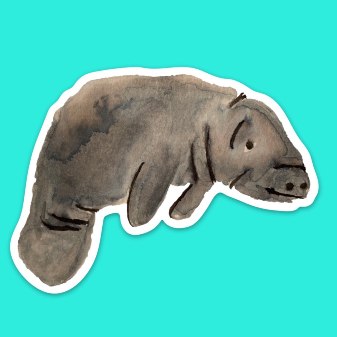 Watercolor Grey Manatee Sticker, animal watercolor painting vinyl decal, florida sticker, florida wildlife, tropical animal, sea life, ocean