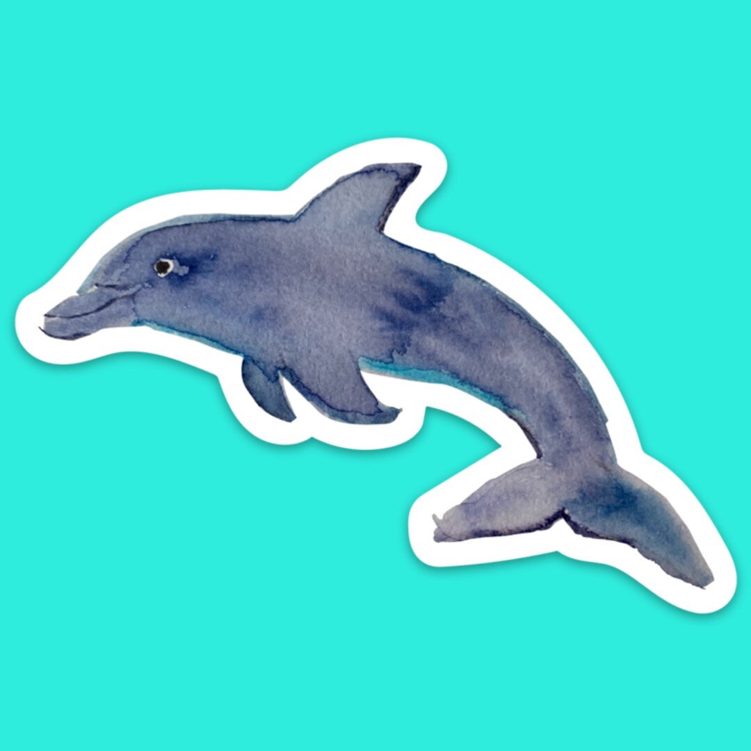 Watercolor Bottlenose Dolphin Sticker  / Decal |  for Car, Laptop, Mug, Cup, Cooler, Planner, watercolor, waterproof, dishwasher safe, vinyl
