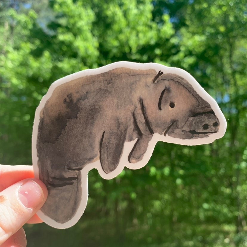 Watercolor Grey Manatee Sticker, animal watercolor painting vinyl decal, florida sticker, florida wildlife, tropical animal, sea life, ocean