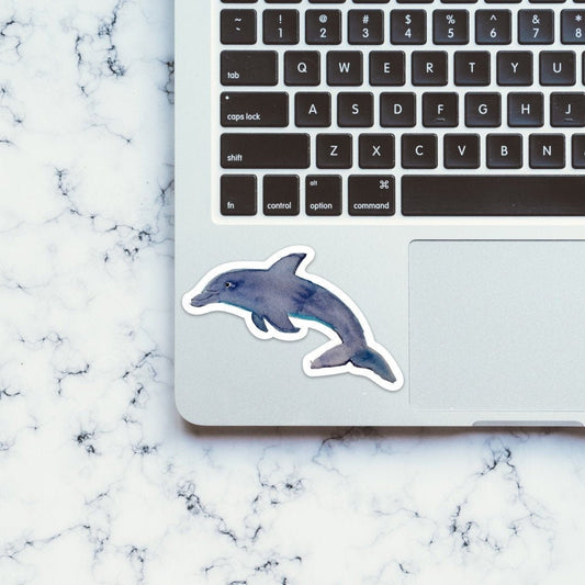 Watercolor Bottlenose Dolphin Sticker  / Decal |  for Car, Laptop, Mug, Cup, Cooler, Planner, watercolor, waterproof, dishwasher safe, vinyl