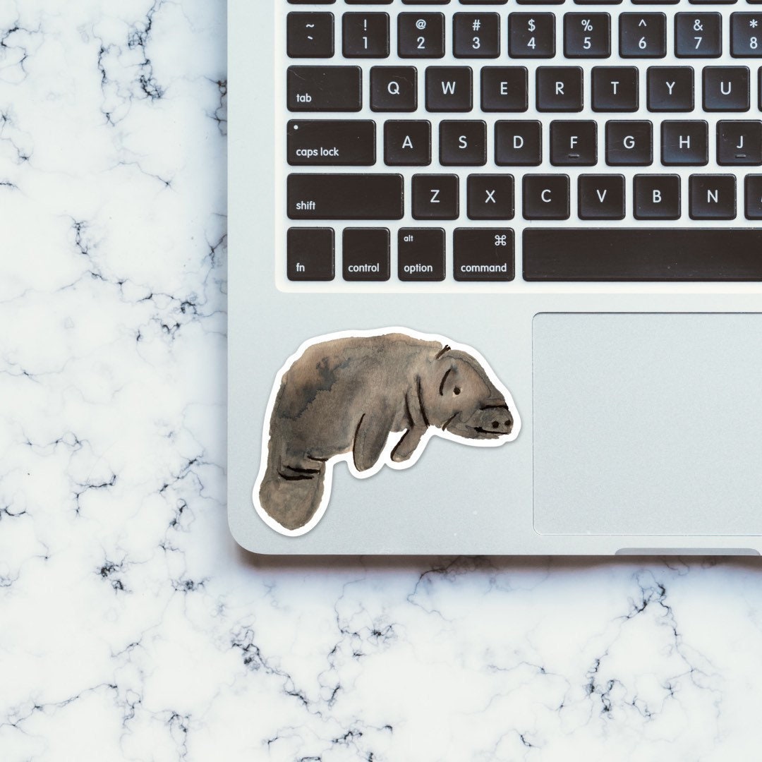 Watercolor Grey Manatee Sticker, animal watercolor painting vinyl decal, florida sticker, florida wildlife, tropical animal, sea life, ocean