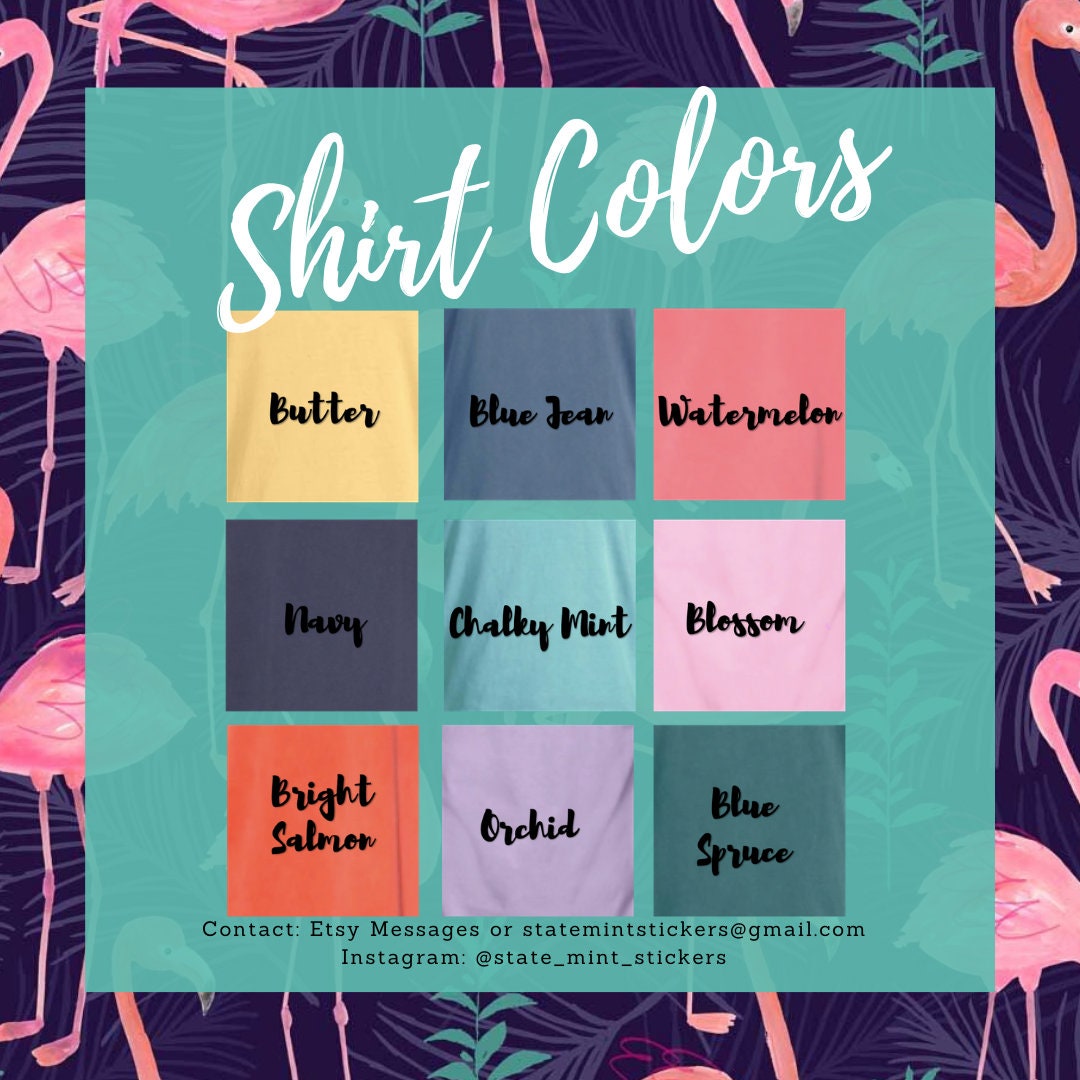 Delta Zeta | Comfort Colors Short Sleeve Tee T-Shirt  | shirt for big little, bid day buddy, basket, reveal, deezee shirt, custom shirt