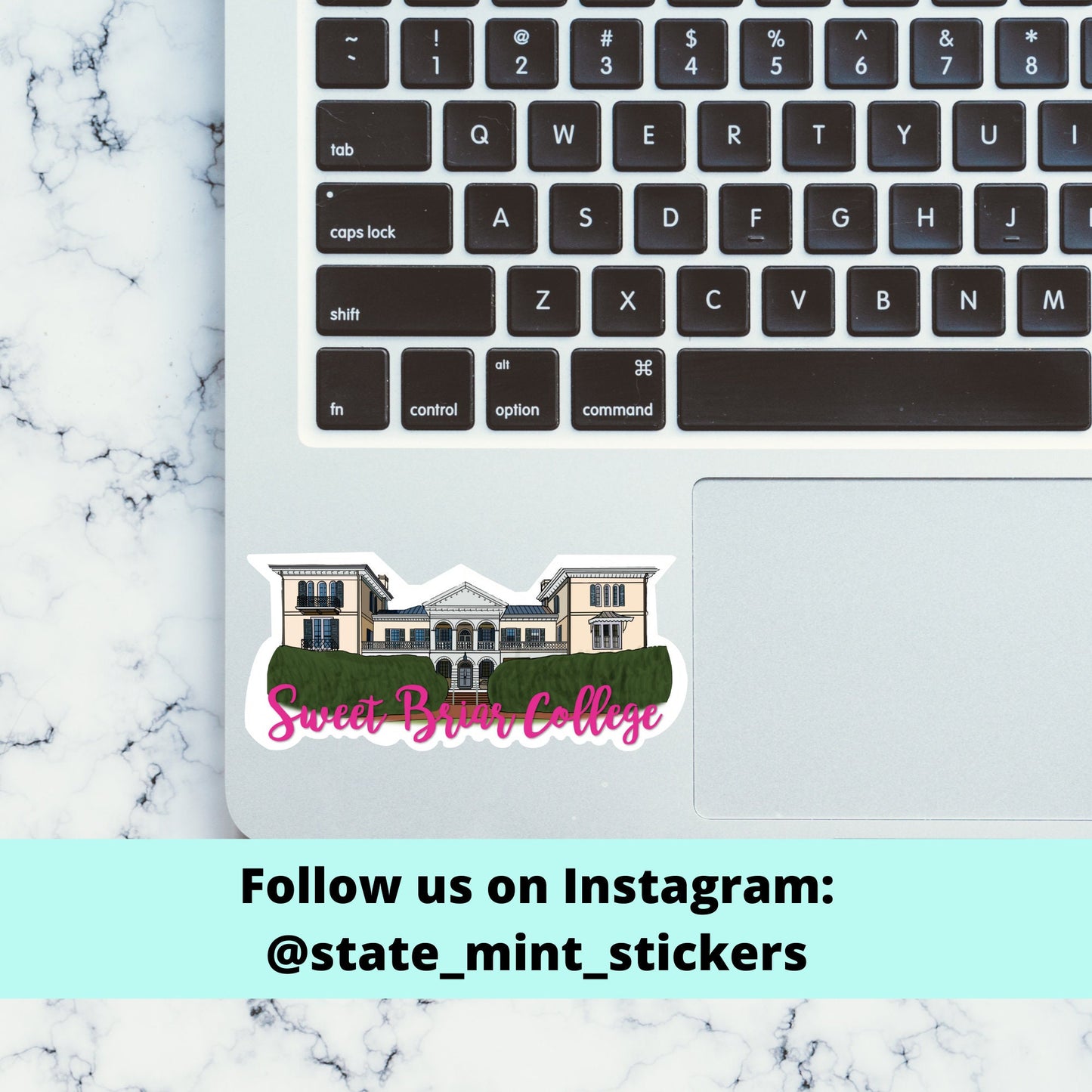 Sweet Briar College Custom College / University / House Sticker | 4” Wide