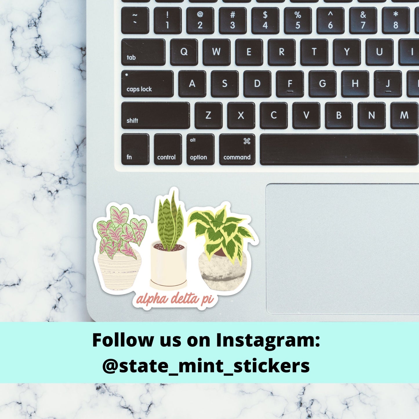 Alpha Delta Pi House Plants Plant Mom Sorority Sticker | 4" Wide | for car, laptop, water bottle, phone, case, cooler, big little, bid day