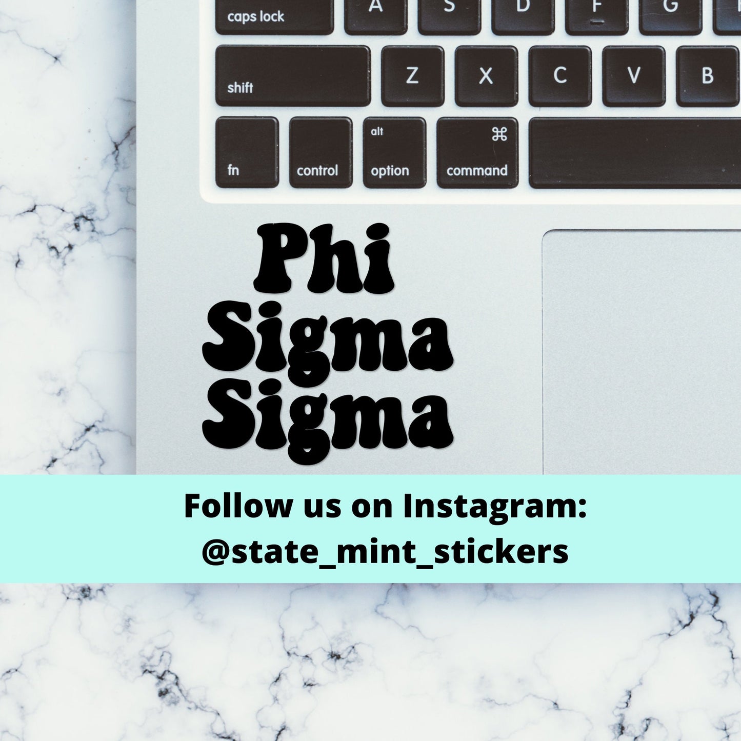 Phi Sigma Sigma Sorority Vinyl Transfer Decal / Sticker | Waterproof for Car, Laptop, Water Bottle, Cooler, laptop sticker car decal