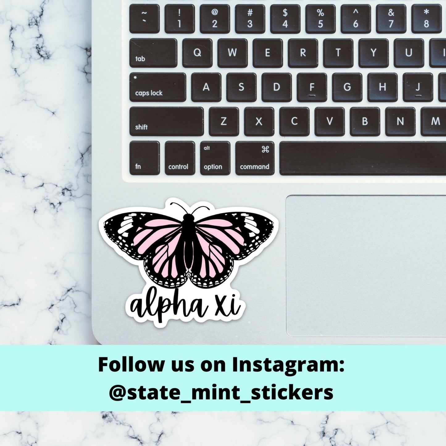 Alpha Xi Delta Sorority Butterfly Sticker / Decal | 3.5" Wide | Official Licensed Product / laptop sticker, car decal, big little basket