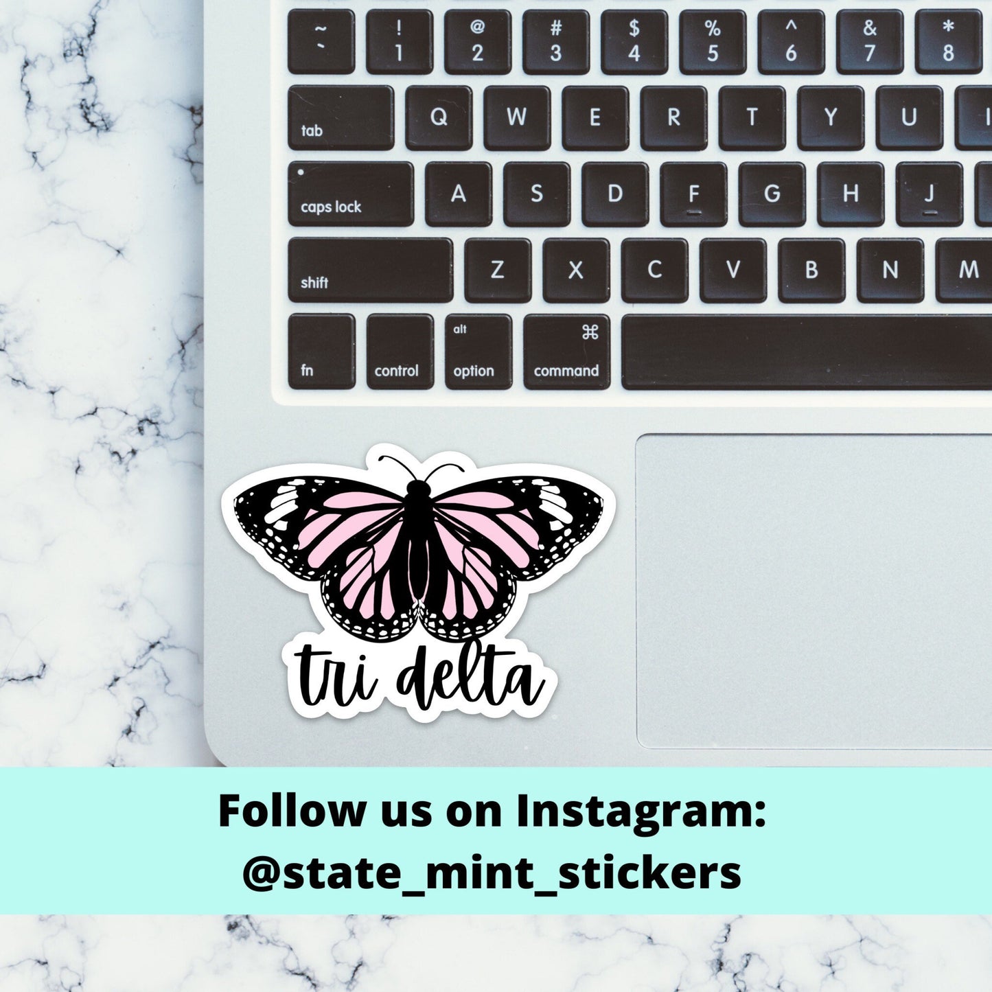 Delta Delta Delta Tri Delta Sorority Butterfly Themed Sticker | Official Licensed Product  | 3.5" Wide, laptop sticker, car decal, little