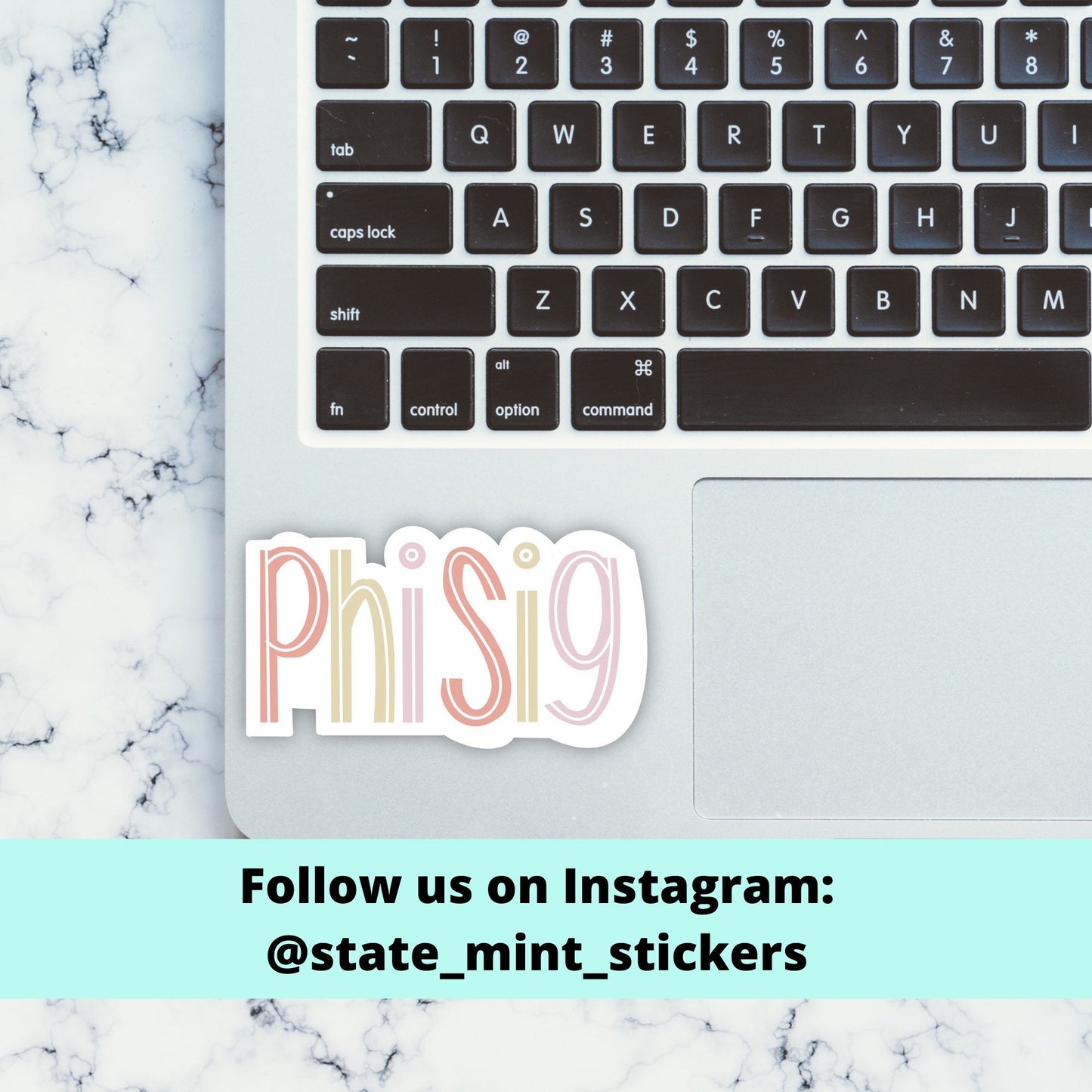 Phi Sigma Sigma Sorority Handwritten Sticker  | 4" Wide | For Car, Laptop, Phone, Indoor, Outdoor, Window, Cooler, Dishwasher Safe