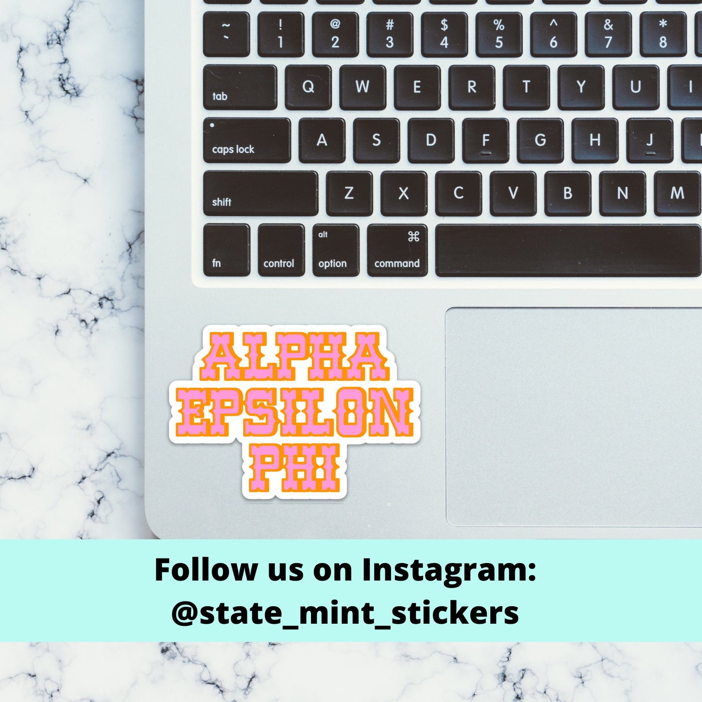 Alpha Epsilon Phi AEPhi Cowboy / Cowgirl Sorority Sticker / Decal  | 3.5" Wide, big little, bid day, laptop sticker, sorority gift, pack