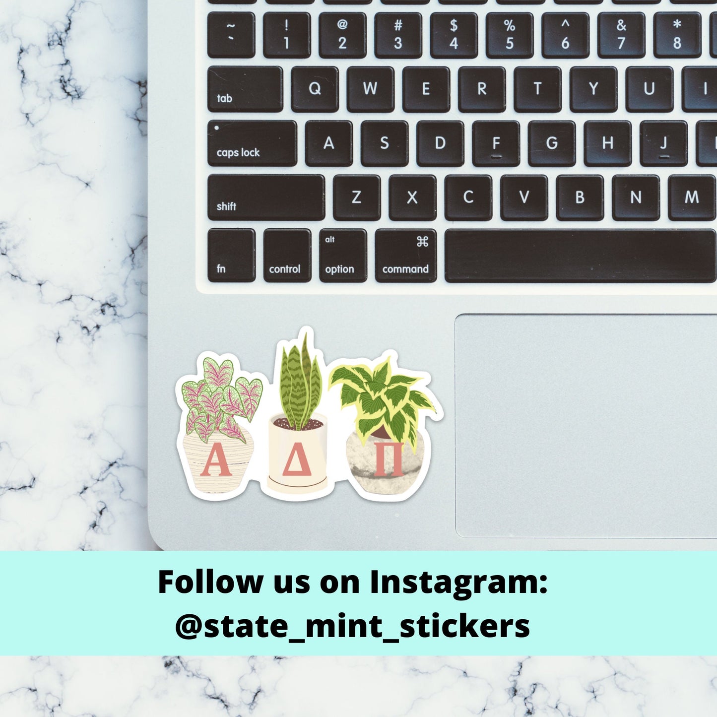 Alpha Delta Pi House Plants Plant Mom Sorority Sticker | 4" Wide | for car, laptop, water bottle, phone, case, cooler, big little, bid day