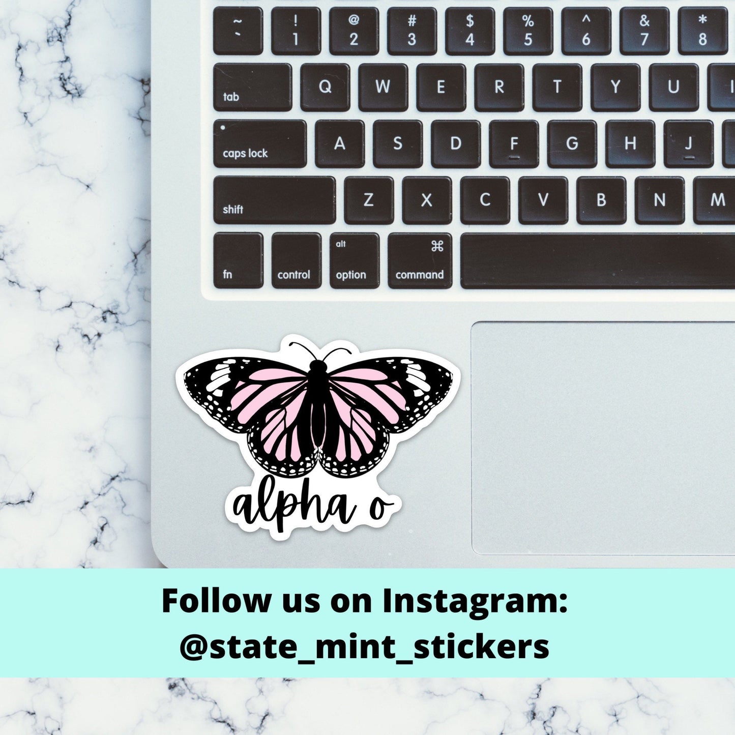 Alpha Omicron Pi Sorority Pink Butterfly Theme Sticker | Maroon Rainbow Sticker / Decal for car, laptop, water bottle, window, computer