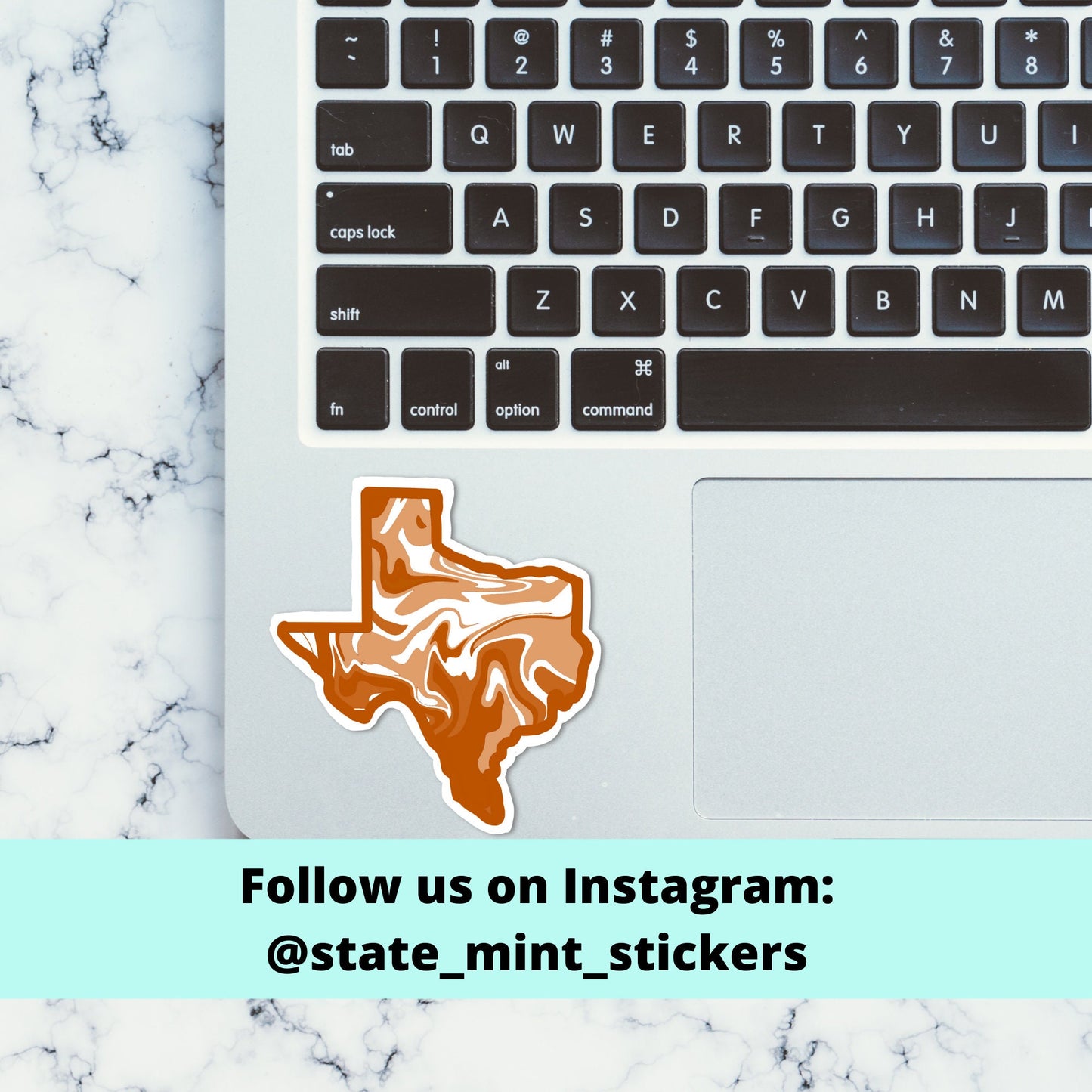 Burnt Orange Texas  Sticker / Decal | For Graduate / Alumni / Student | For Car, Laptop, Cooler, Flask, Water Bottle / Graduation / Grad