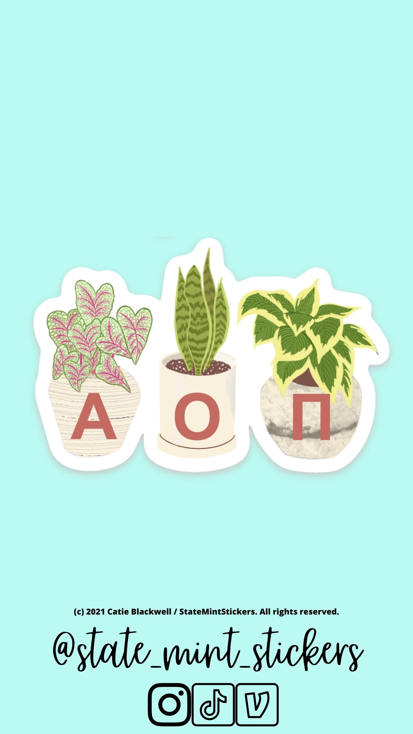 Alpha Omicron Pi Sticker | Plant Mom, Sorority Sticker | Perfect for use on car, laptop, waterbottle, cooler, cup, mug, planner