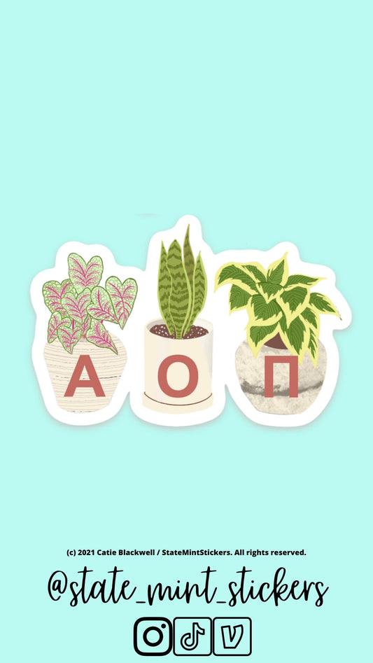 Alpha Omicron Pi Sticker | Plant Mom, Sorority Sticker | Perfect for use on car, laptop, waterbottle, cooler, cup, mug, planner