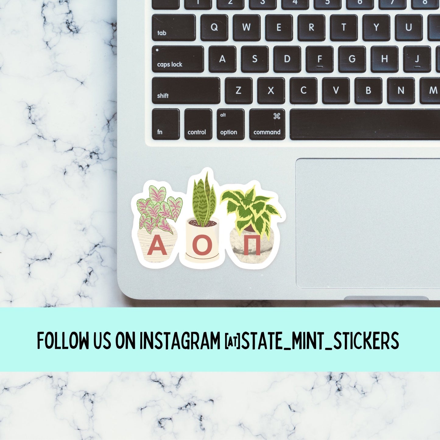 Alpha Omicron Pi Sticker | Plant Mom, Sorority Sticker | Perfect for use on car, laptop, waterbottle, cooler, cup, mug, planner