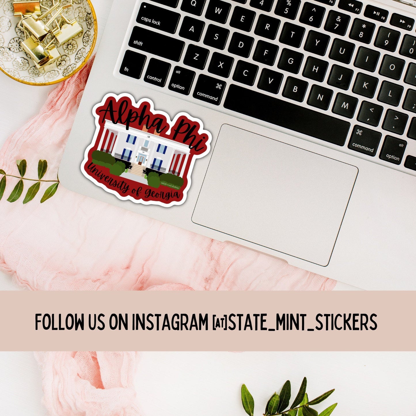 Alpha Phi UGA Sorority House Sorority Sticker | Alpha Phi Sorority Little | Bid Day Basket | Sorority House Sticker | Custom House Sticker