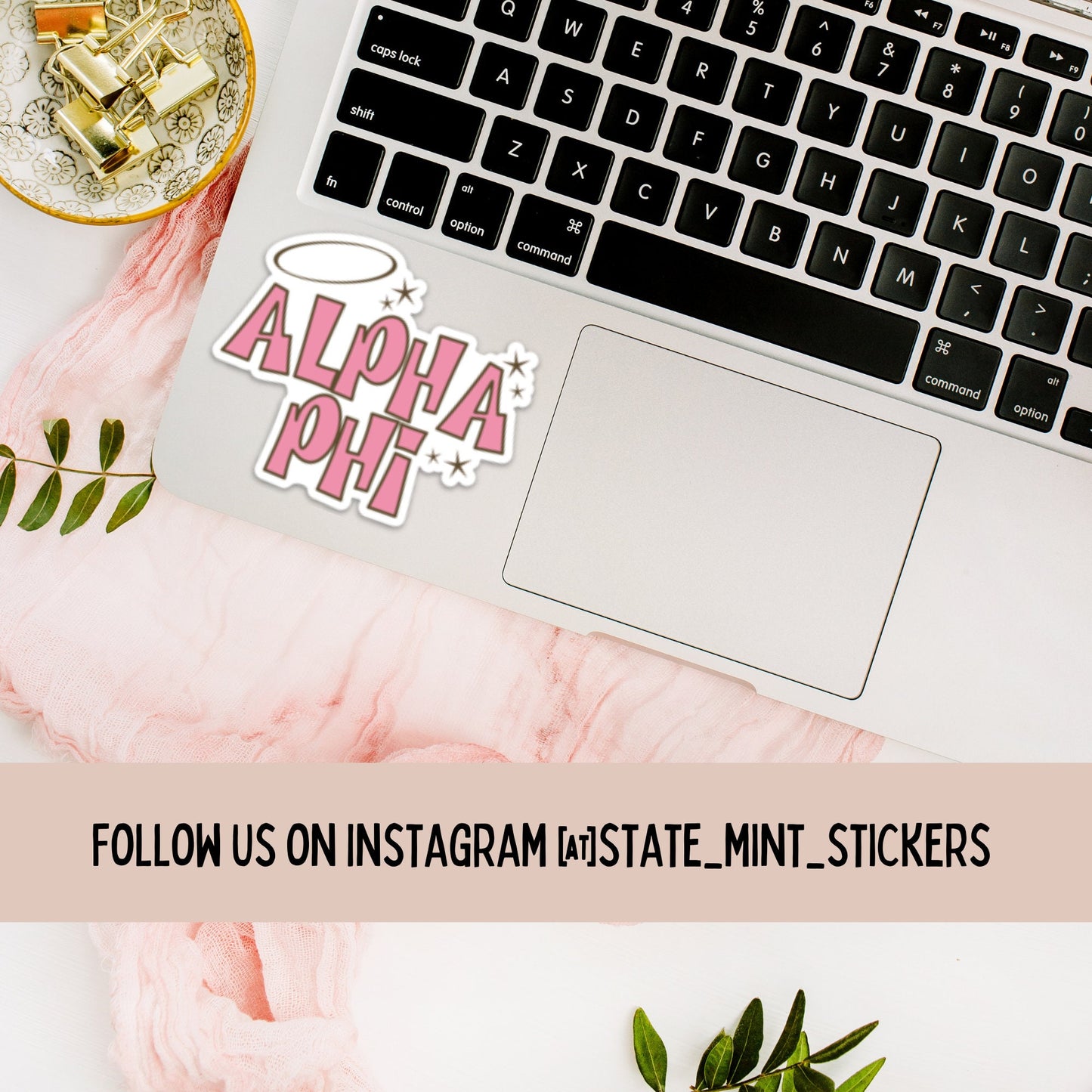Alpha Phi Sticker | Sorority Sticker | 3.5" Wide | Official Licensed Product  / Decal |  for Car, Laptop, Mug, Cup, Cooler, Planner